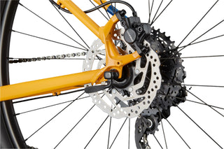 Trail 5 - Giallo