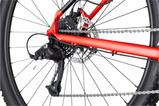 Trail 7 - Rosso