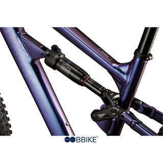 Habit 3 - Viola Cannondale