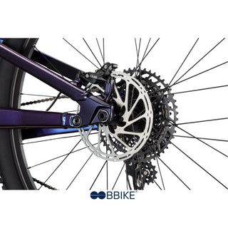 Habit 3 - Viola Cannondale