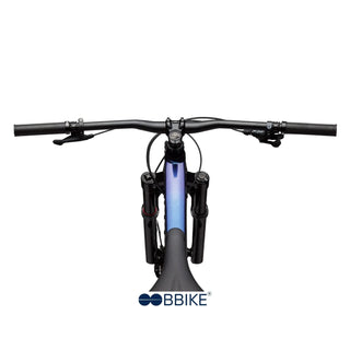 Habit 3 - Viola Cannondale