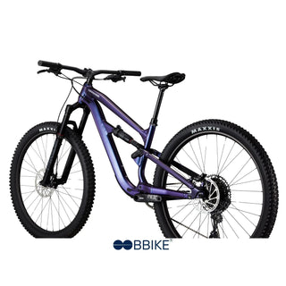 Habit 3 - Viola Cannondale
