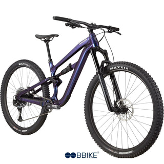 Habit 3 - Viola Cannondale