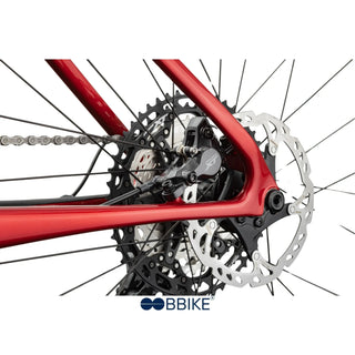 Scalpel HT Carbon 2 - Rosso Cannondale