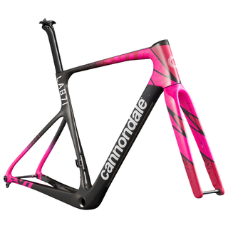 Cannondale SuperSix EVO LAB71 EF Pro Cycling Team Replica - Telaio - Cannondale | BBIke