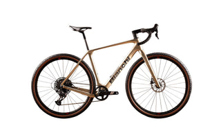 Arcadex Comp - Bronzo