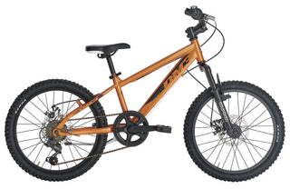 Alpina Flip 20" - Boys' Bike - Alpina | BBIke